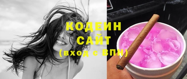 сатива Арсеньев