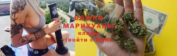 сатива Арсеньев