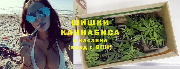 сатива Арсеньев