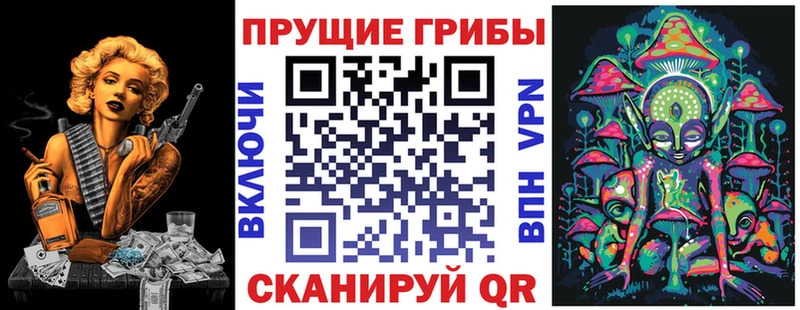 Галлюциногенные грибы MAGIC MUSHROOMS  где продают   Юрьев-Польский 